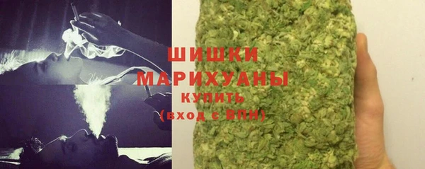 бошки Бронницы