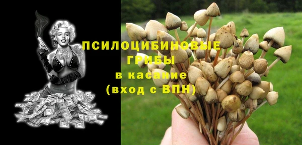 соль курить ск Вяземский