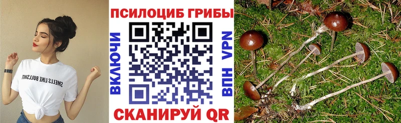 Псилоцибиновые грибы Psilocybine cubensis наркотики Еманжелинск